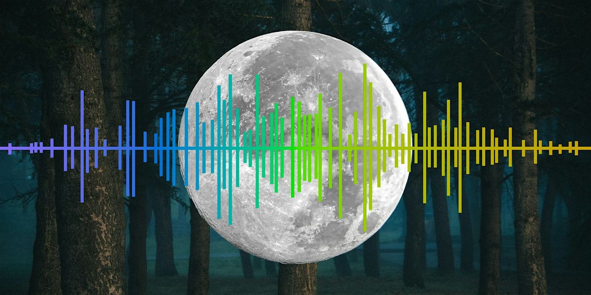 Nocturnal Noises Night Hike
