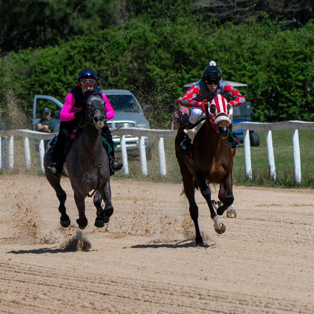 82nd Running of the Aiken Trials