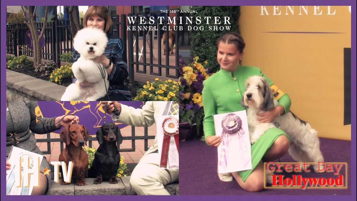 Westminster Kennel Club Dog Show - 2 Day Pass