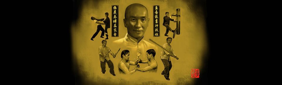 WING CHUN EXPERIENCE