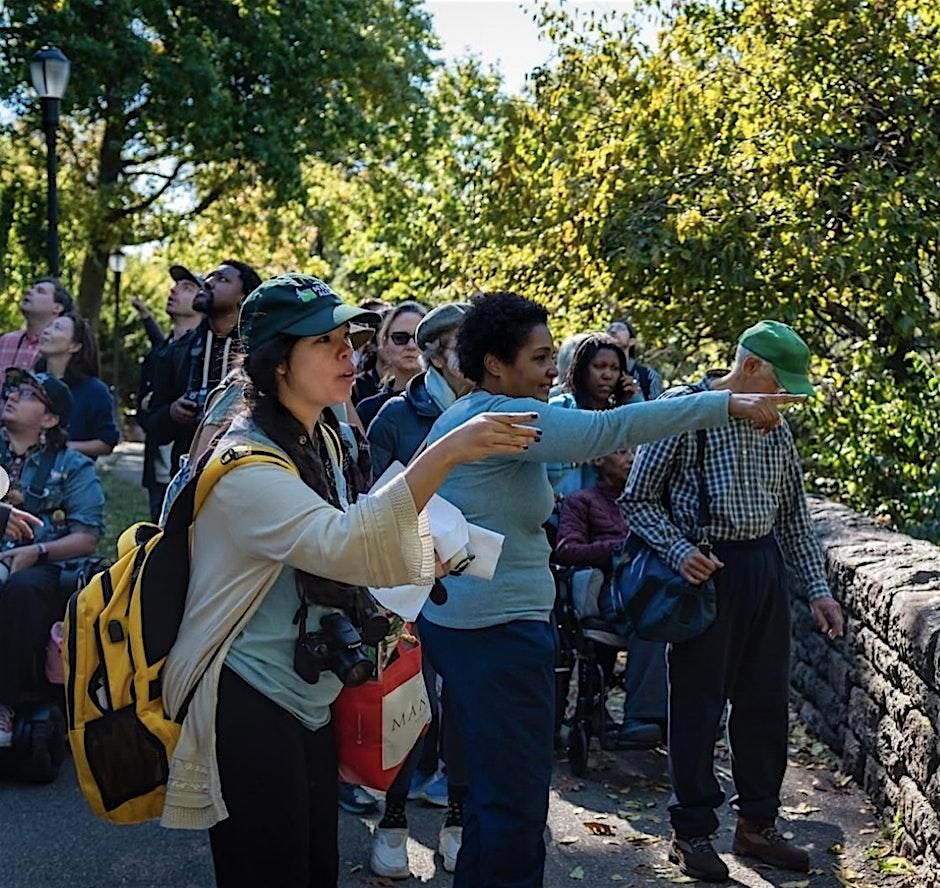 Summer Birding in the Park