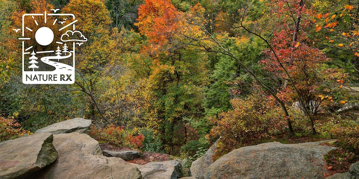 Nature Rx: Mindful Photography