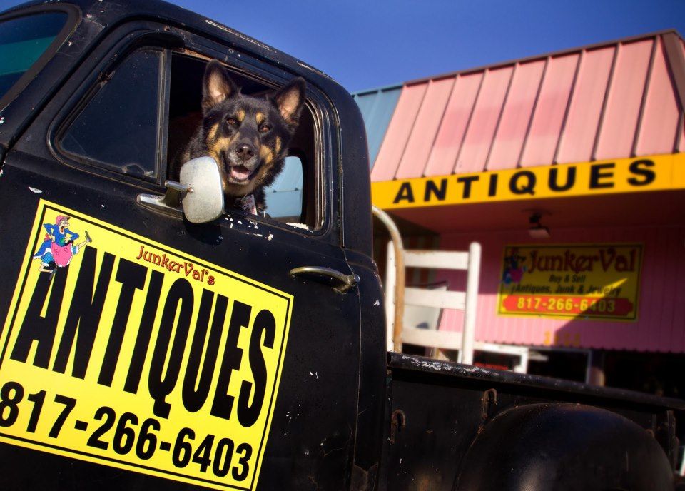 Bluebonnet Circle: Small Business Takeover!