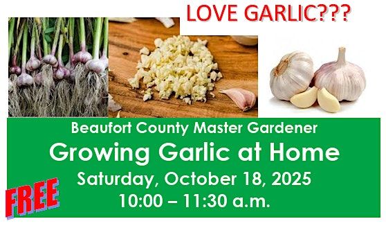 Growing Garlic at Home