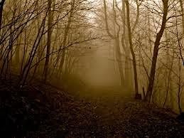 Haunted Hallows Two Moon Park