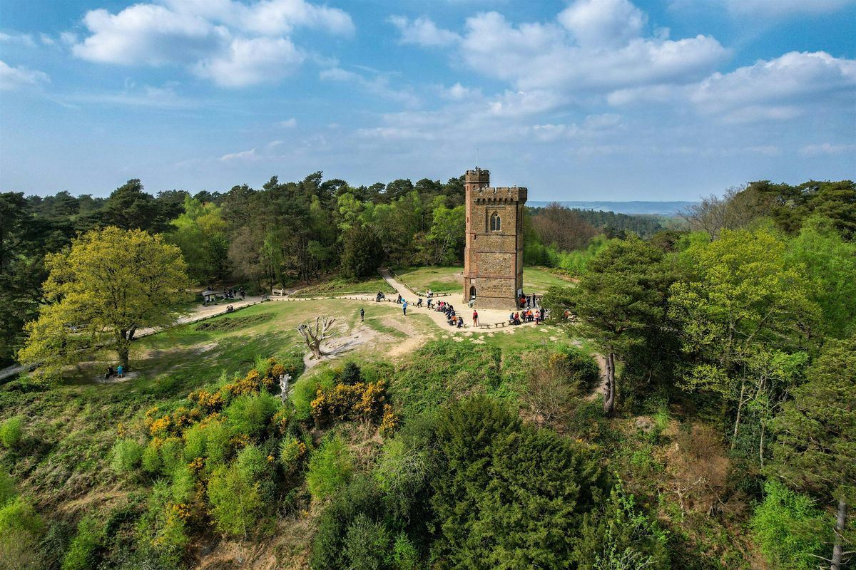 HIKE 24km Leith Hill Gothic Tower, Ancient Woodlands and Panoramic Views