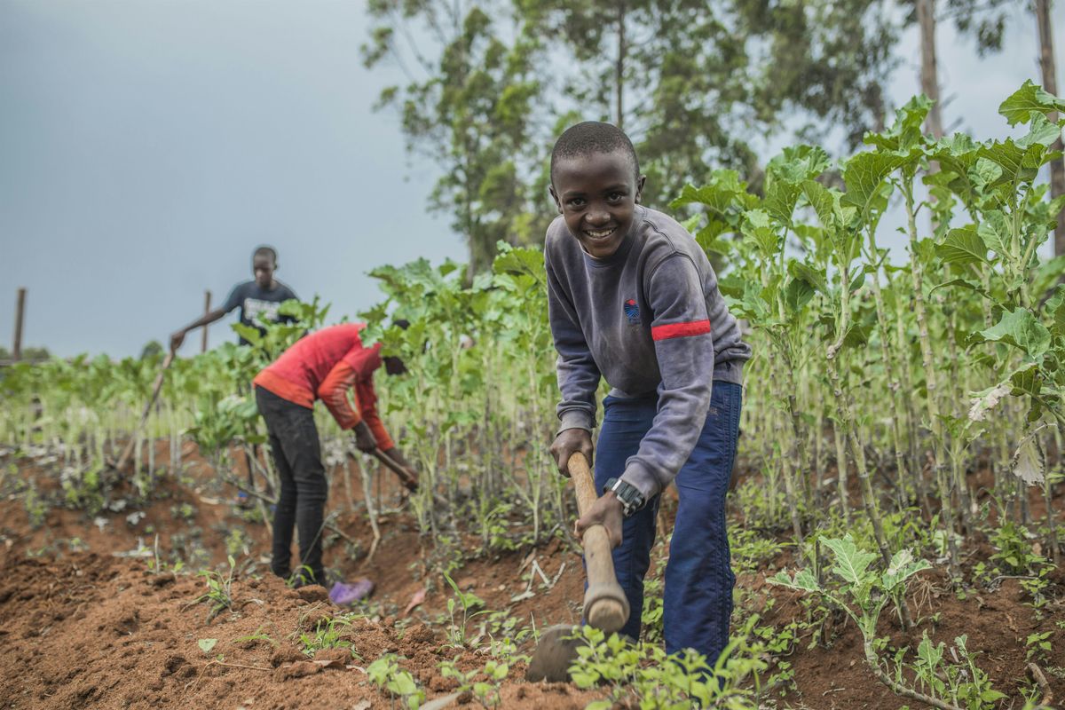 An Evening of Hope & Impact with Thrive for Good