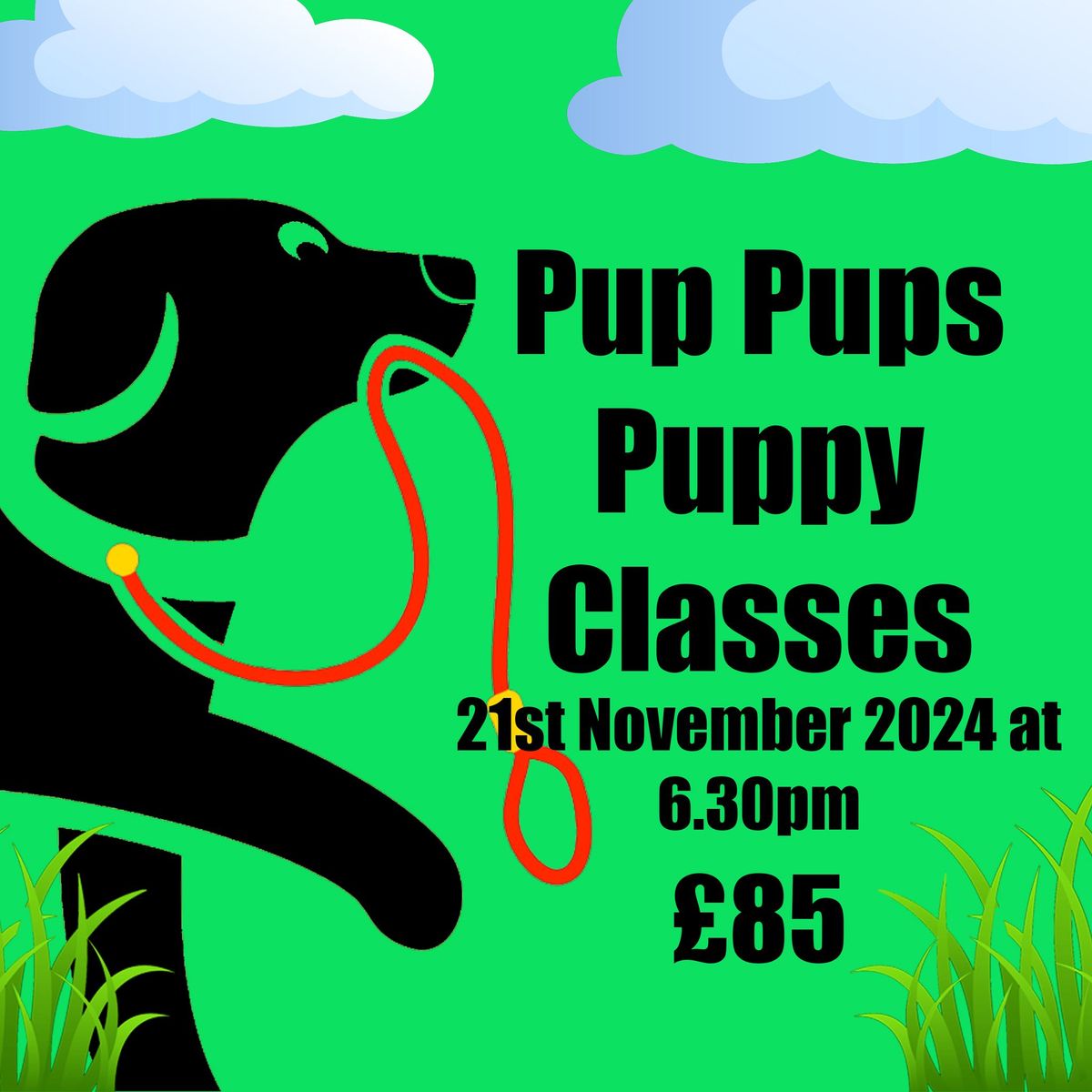 Pup Pups Puppy Foundation Class - 21st November 2024