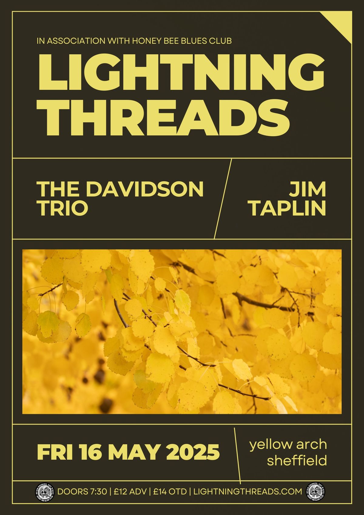 Lightning Threads + The Davidson Trio + Jim Taplin