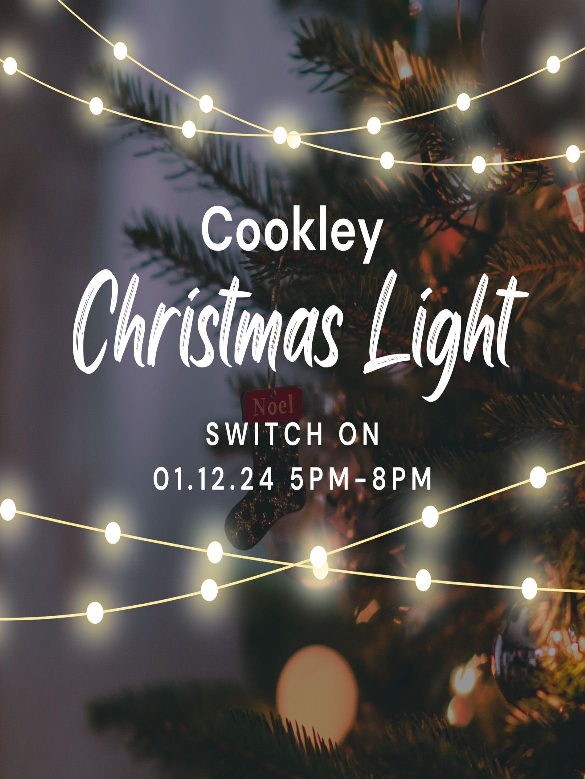 Cookley Christmas Light Switch On