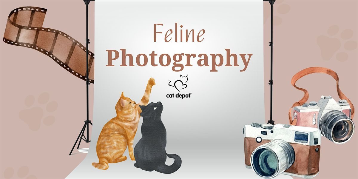 Feline Photography Session 5