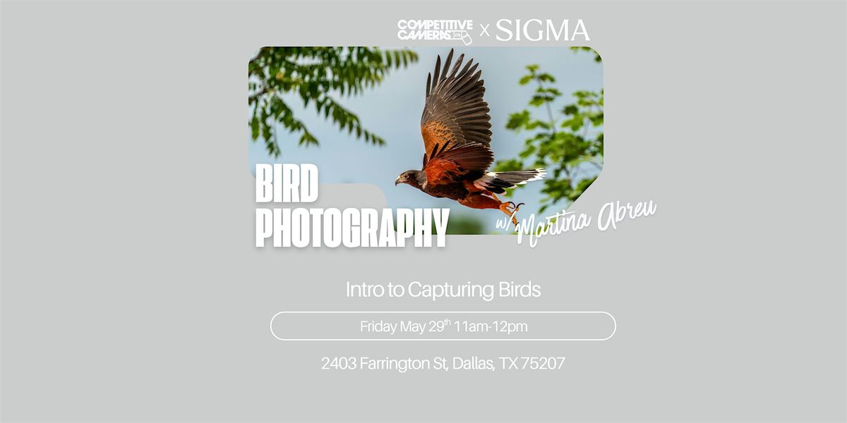 Bird Photography w\/ Martina Abreu