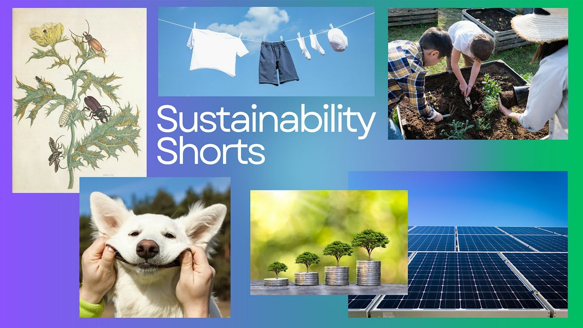 Sustainability Shorts #7