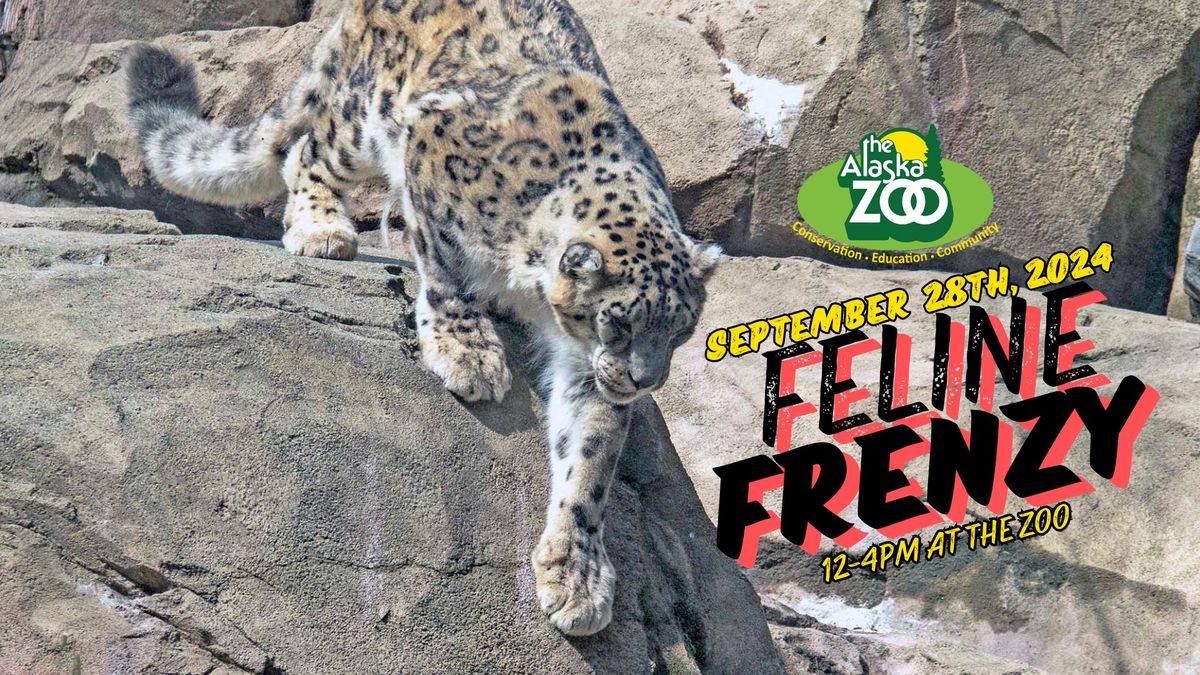 Feline Frenzy Event at the Alaska Zoo