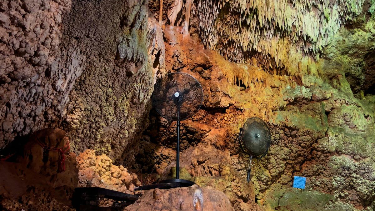 Artist talk with Phoebus Osborne and Amina Ross