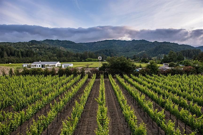 Private St. Helena Vintner Tasting - Meet the Winemakers
