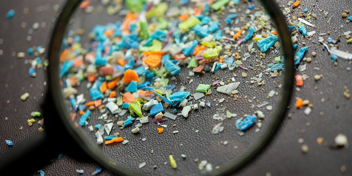 Microplastics Workshop for Home Schoolers