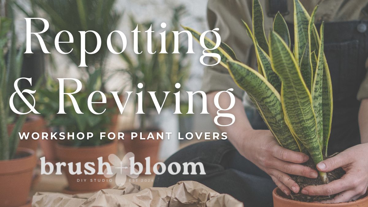 Repotting & Reviving: Houseplant Workshop