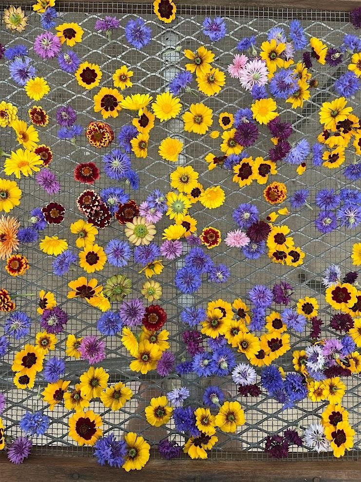 Flower Pounding