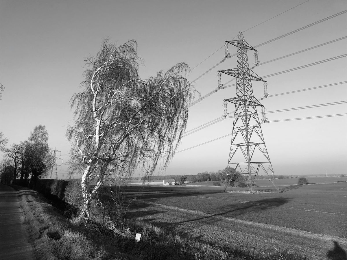 The Poet\u2019s Favourite Places - a virtual walking tour with poet John Clare