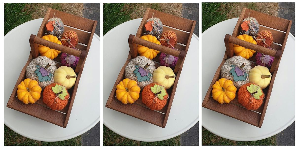 Halloween Crochet Pumpkin Workshop \u2013 Beginner-Friendly Class