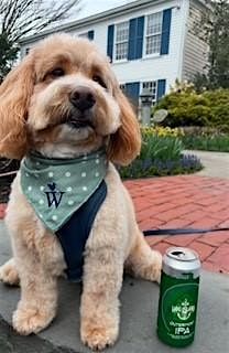 Yappy Hour: pints & pups