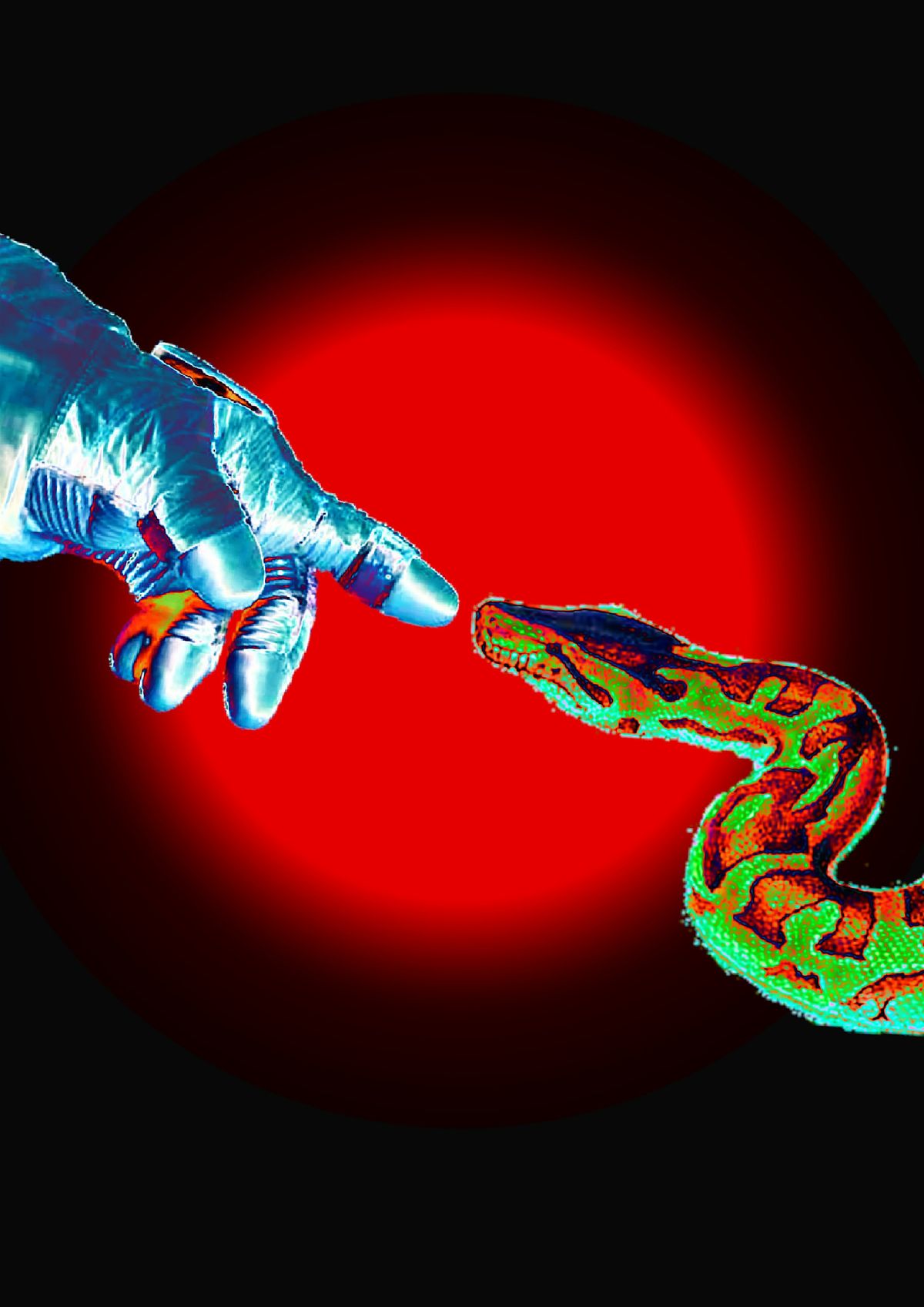 Phantom Limbs Music Show