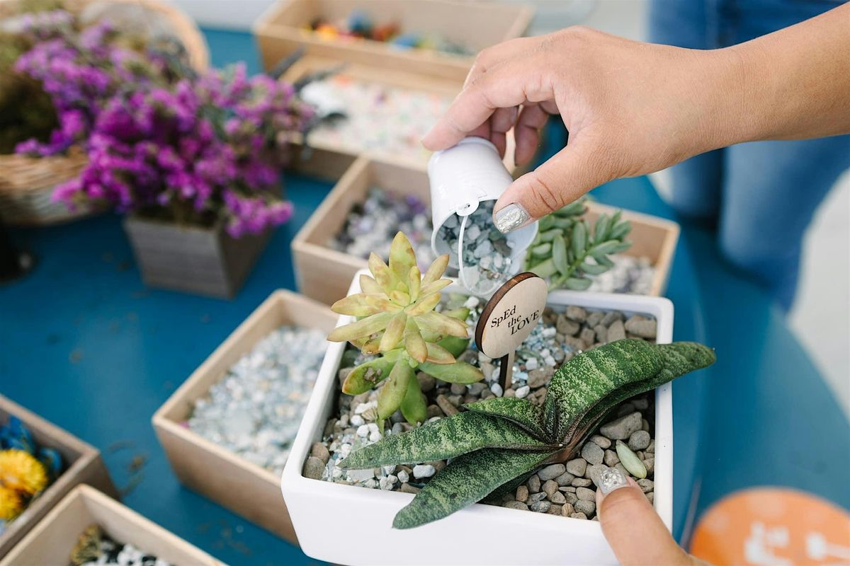 Valentine's Succulent Workshop