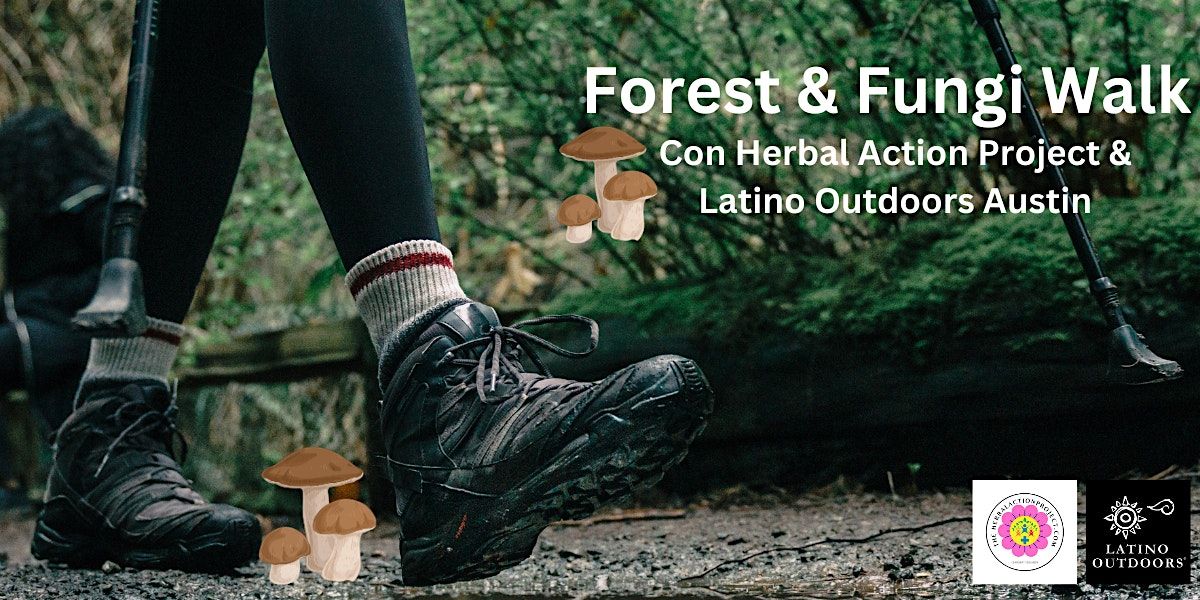 LO Austin | Forest & Fungi Walk with Herbal Action Project