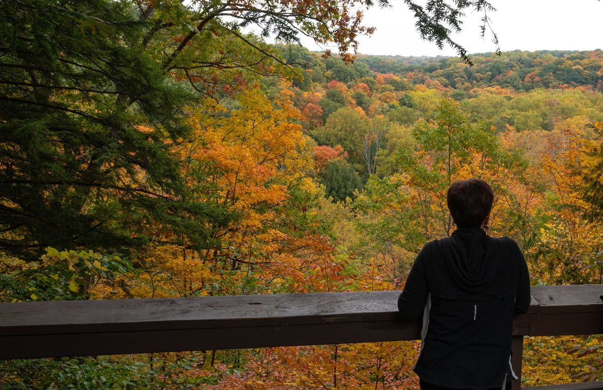 Fall Color at Mohican State Park