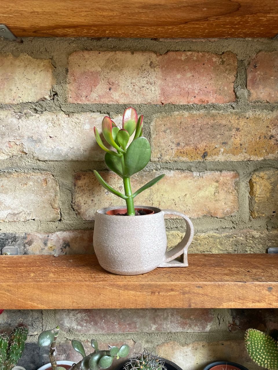 Handbuilding Tea Cups