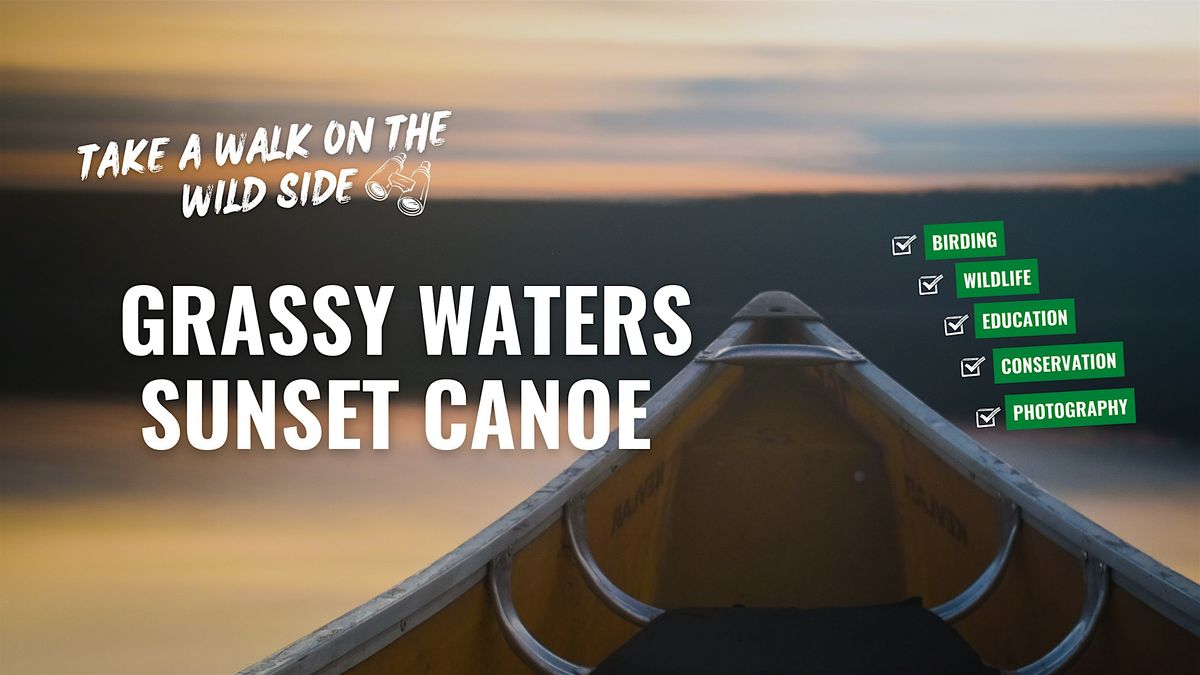 Sunset Fly in Canoe Outing