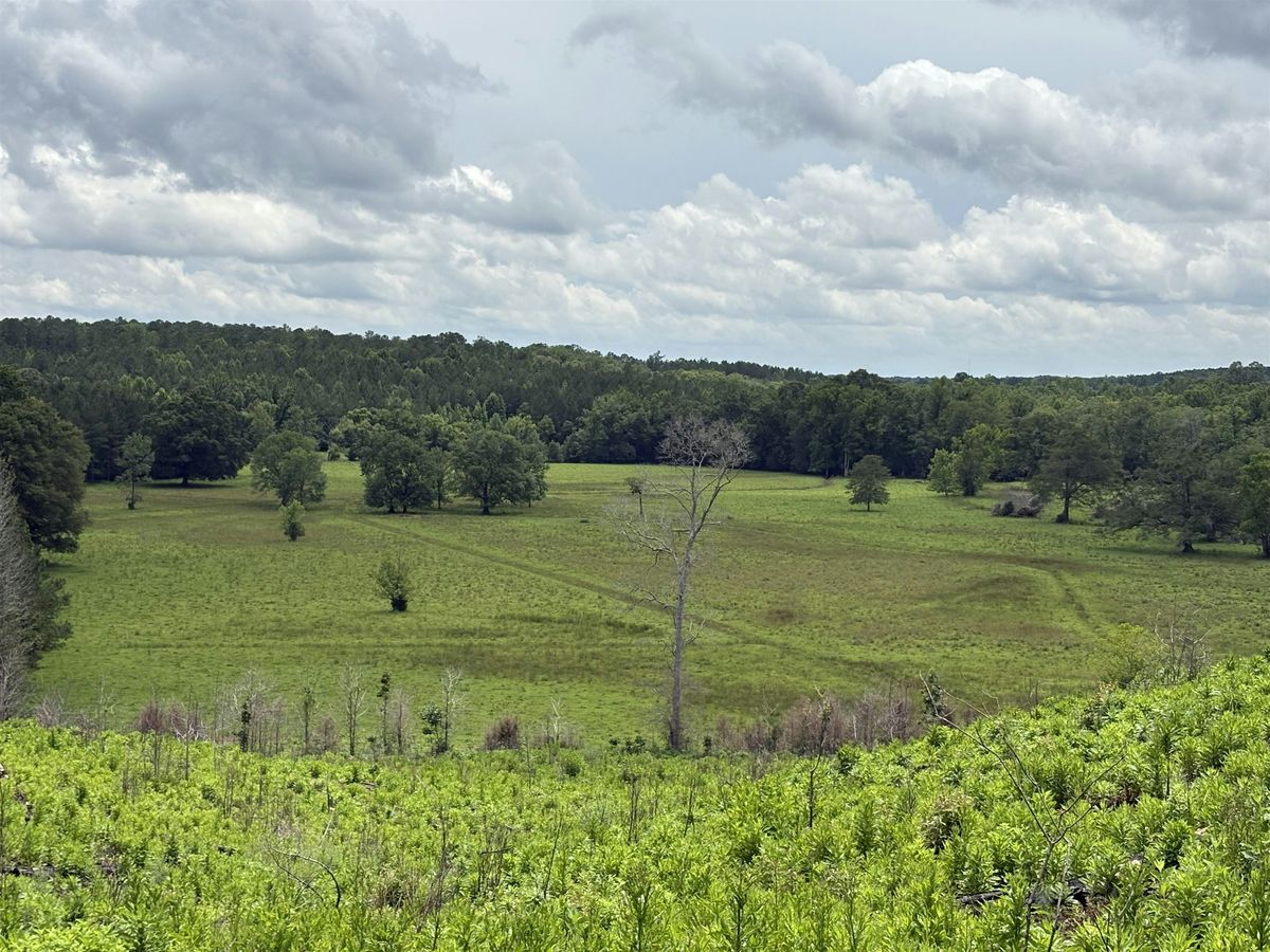 Farm Transition, Succession, and Estate Planning