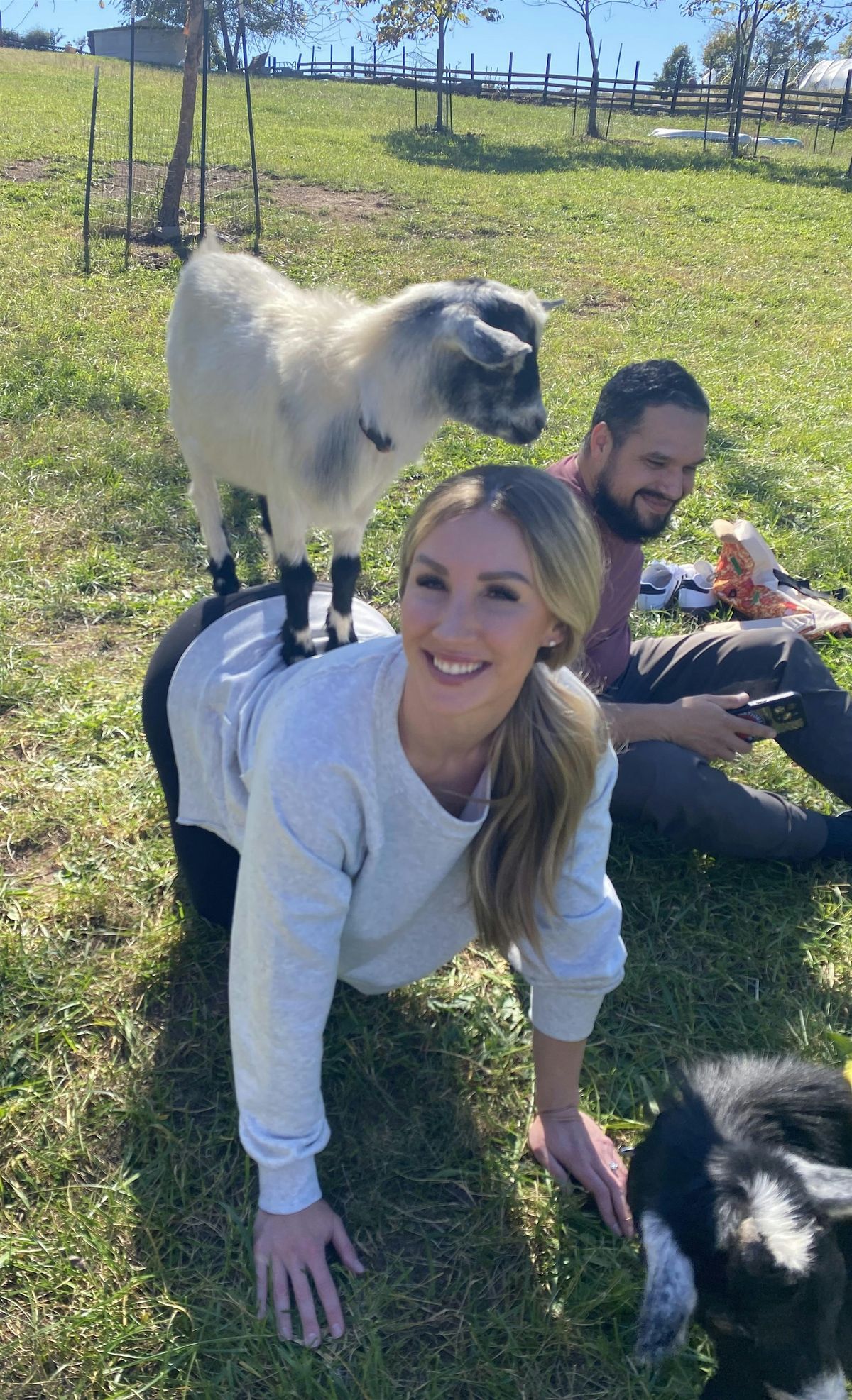 Goat Yoga