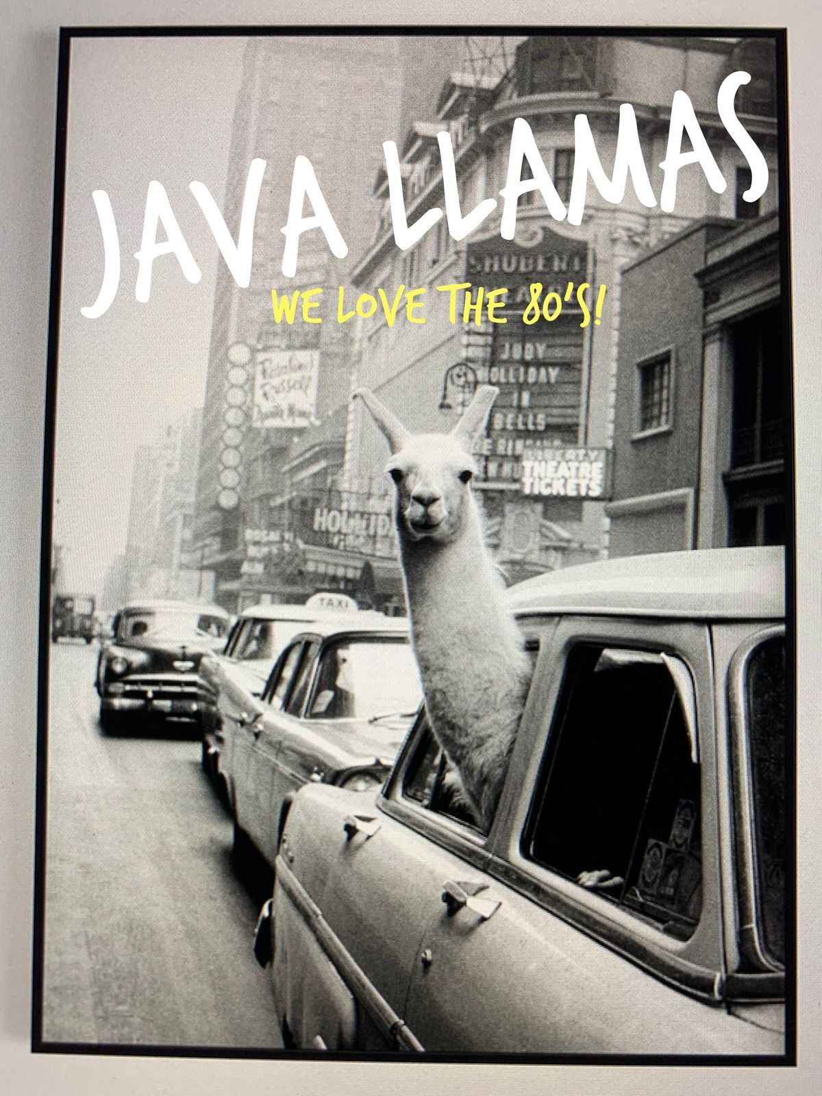 The Java Llamas Play The Vine 119 Ennis! 