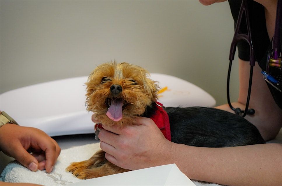 Low-Cost Vaccine Clinics - Marietta