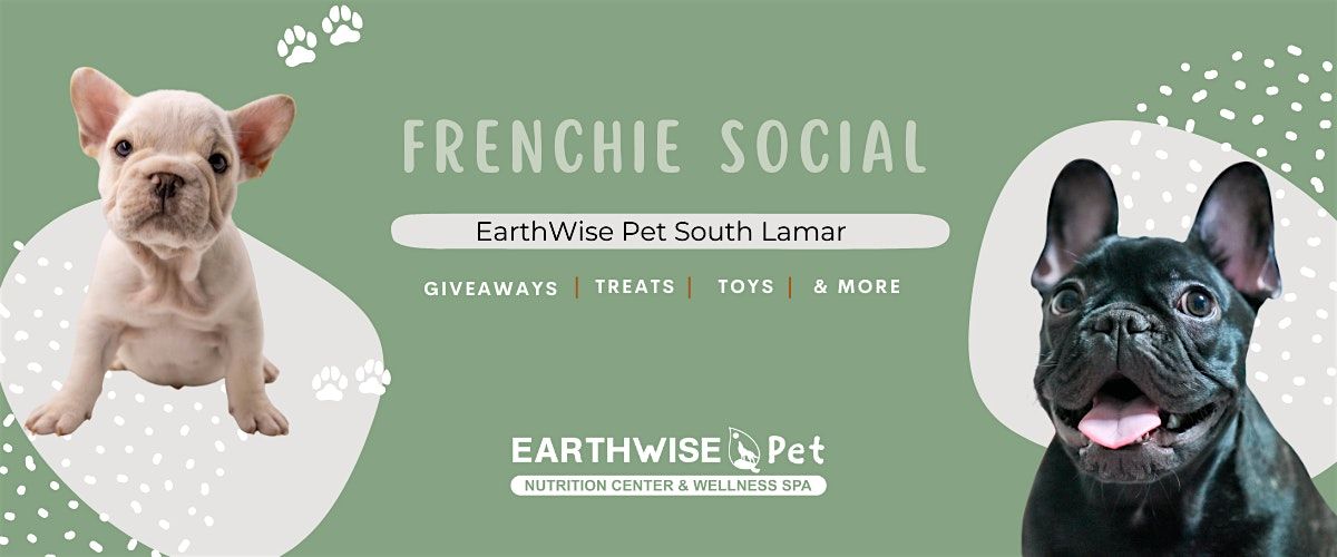 Frenchie Social at EarthWise Pet South Lamar