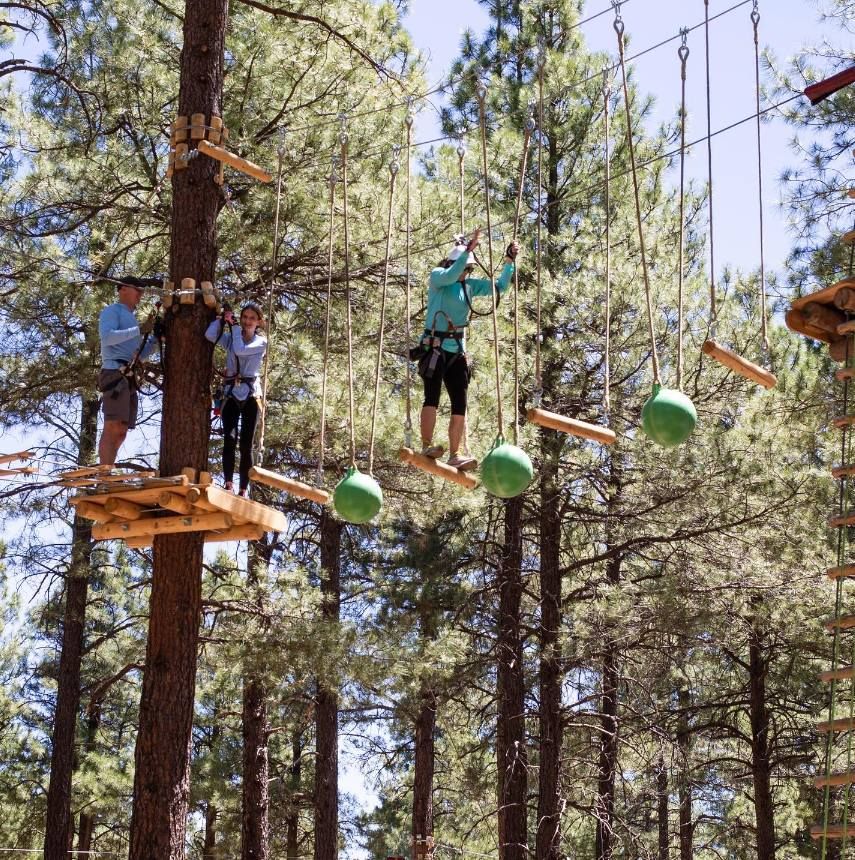 Flagstaff Treetop Mixer