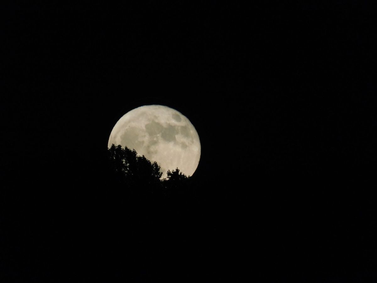 Full Moon Hike