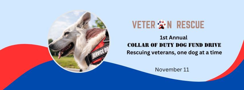 Veteran Rescue Dog Fund Drive