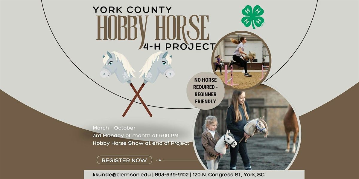 York County 4-H Hobby Horse Project