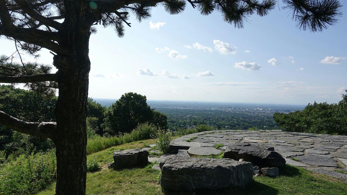 Randonn\u00e9e p\u00e9destre: Le mont Royal c\u00f4t\u00e9 nord