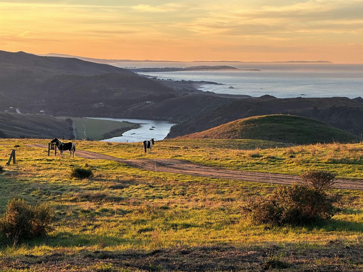 New Year's Sunrise Hike at Jenner Headlands Preserve