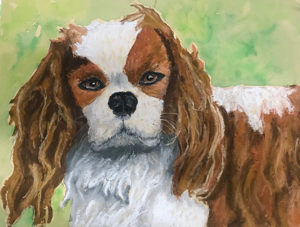 Pet Portrait in Pastel