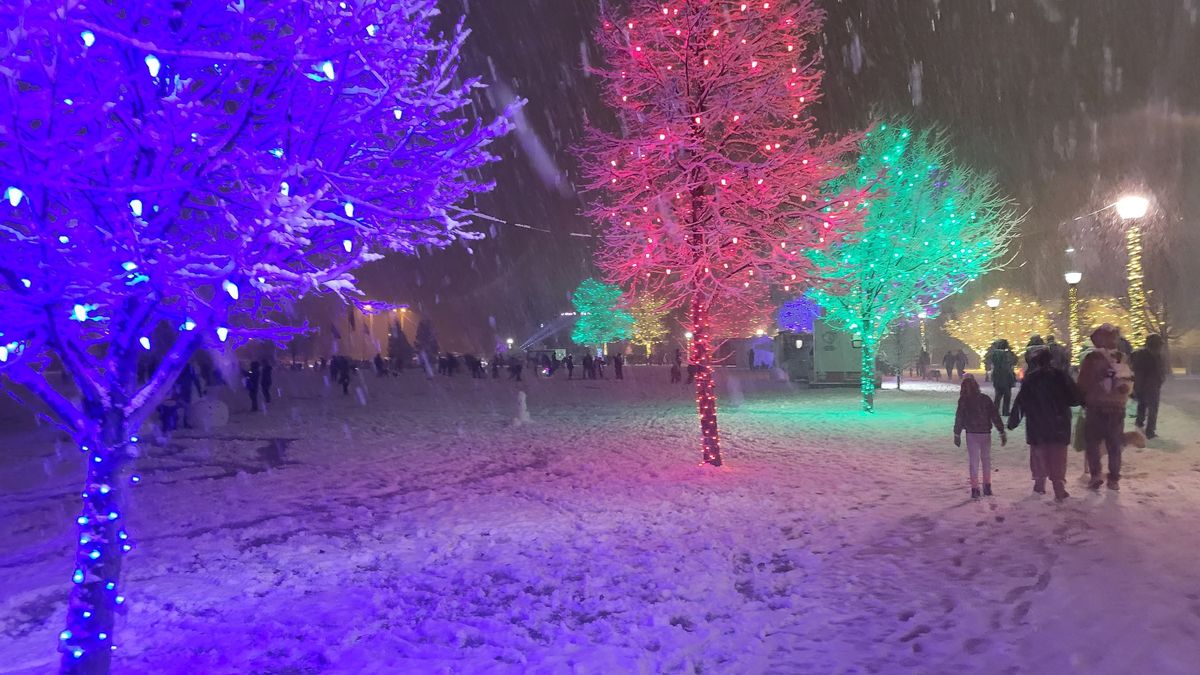 Longmont Lights Festival