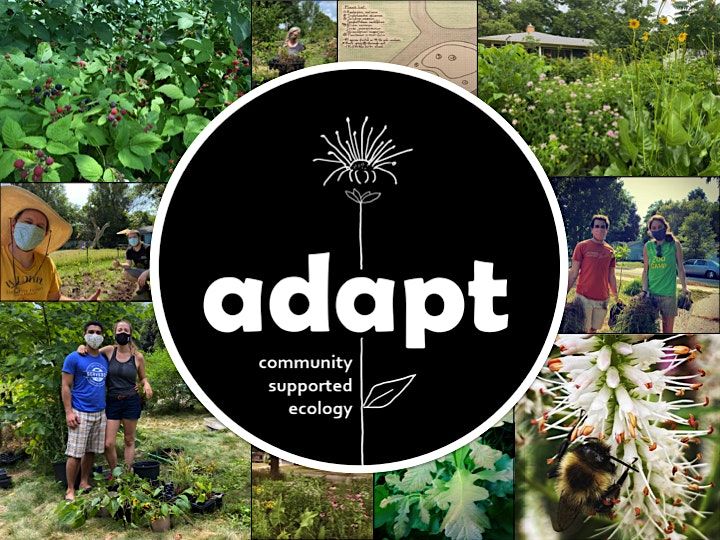 Garden Design with Native Plants Presented by Adapt