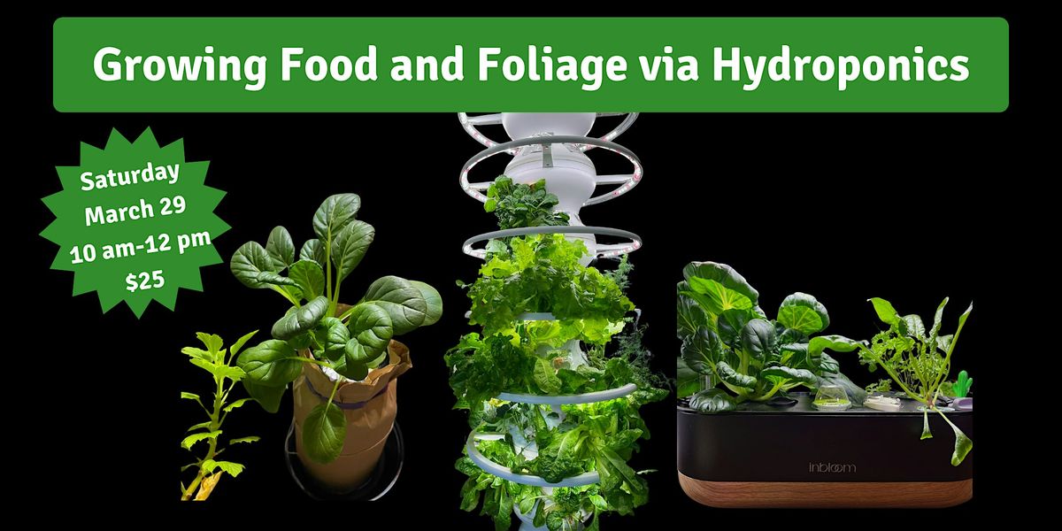 Growing Food and Foliage via Hydroponics