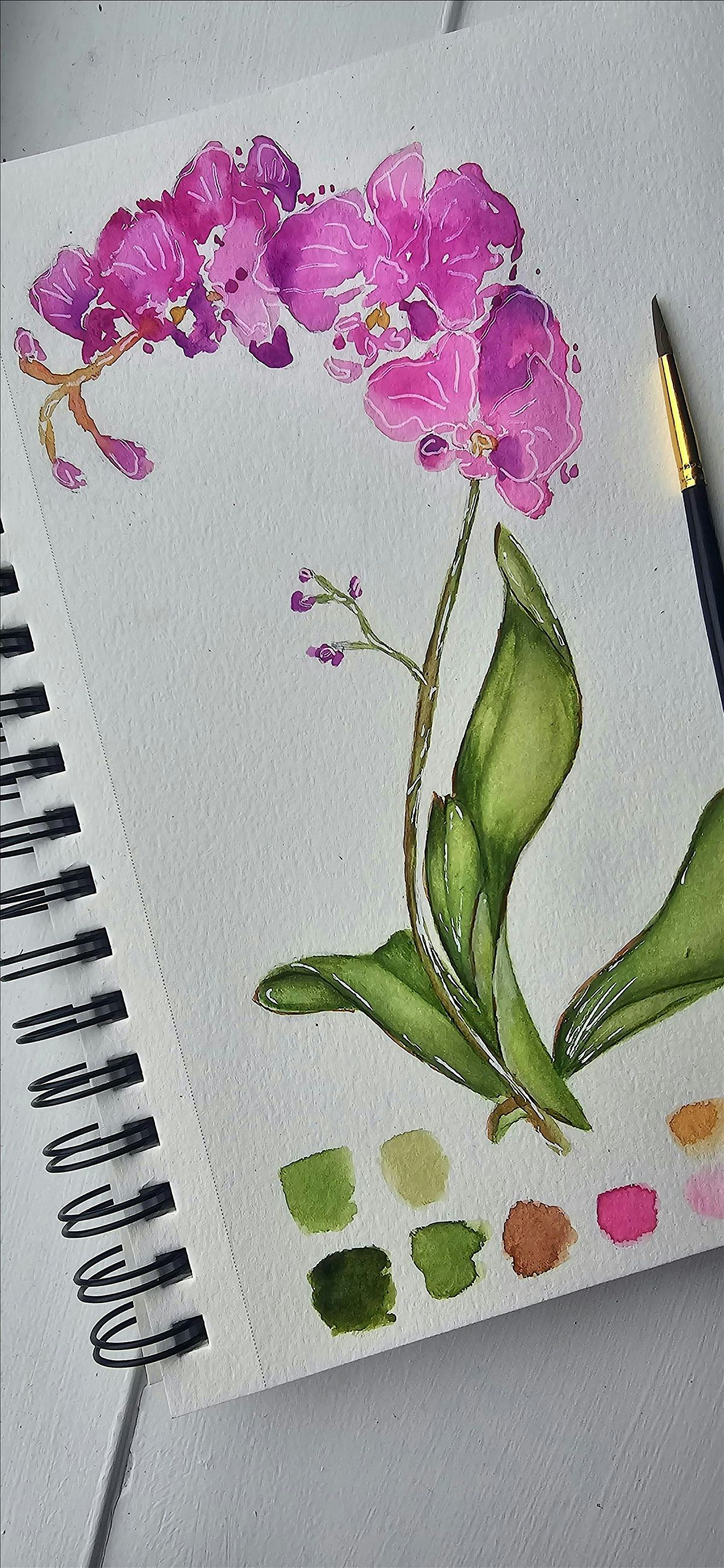 Watercolour Workshop: Botanicals and Flowers