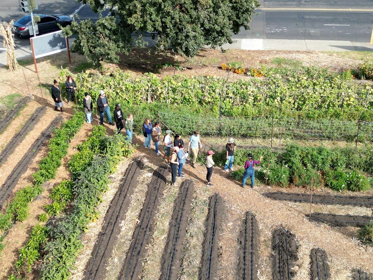 Three Sisters Gardens November Skills Share