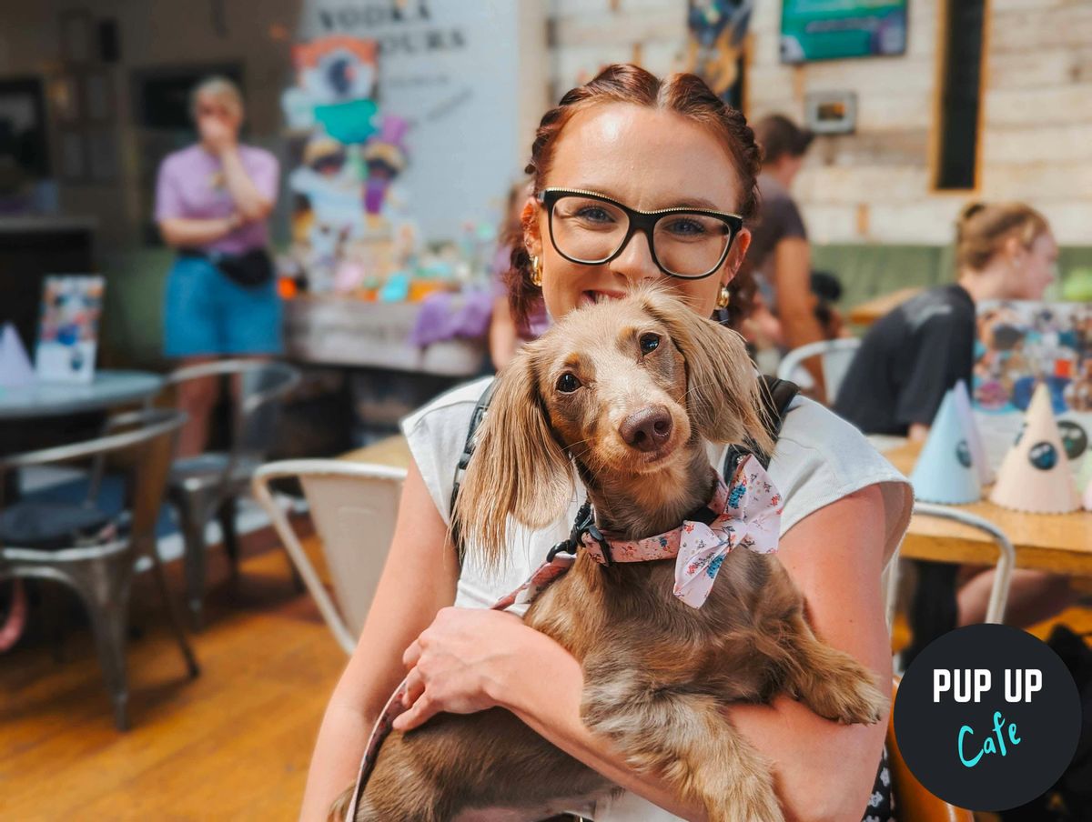  Dachshund Pup Up Cafe - Exeter